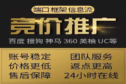 电商平台信息流广告的投放策略与效果评估案例